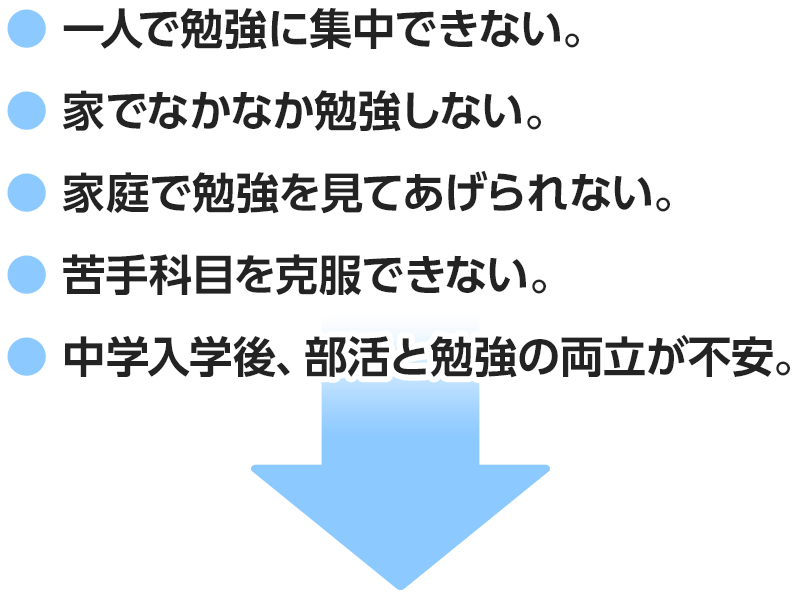 小学生限定 学力upキャンペーン 湘南ゼミナール個別指導コース